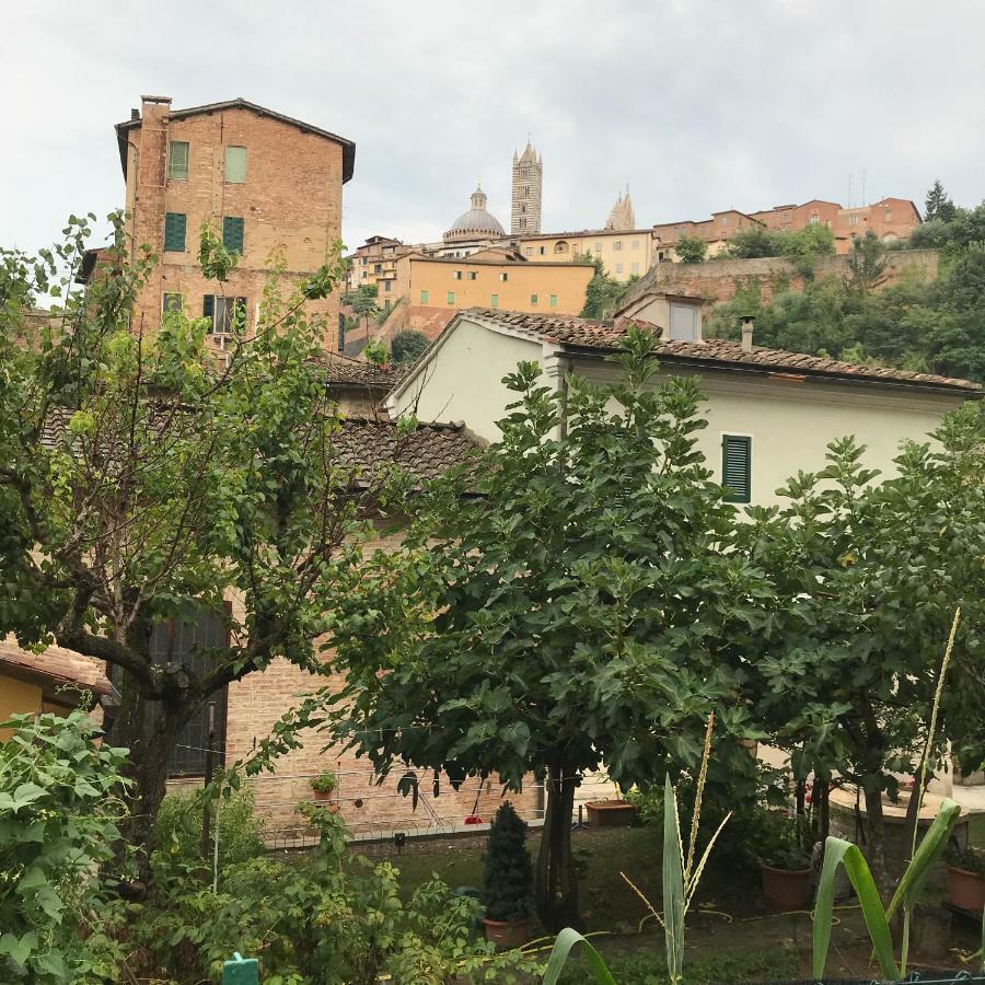 To Dream In Apartment Siena